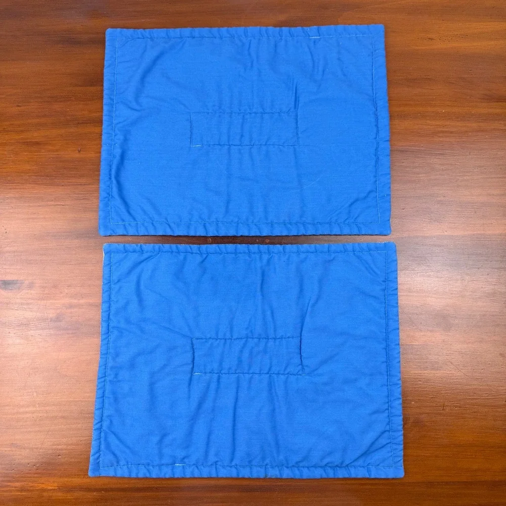 Vintage Quilted Placemats Set of 2 Blue Red Floral Paisley Cottagecore Farmhouse